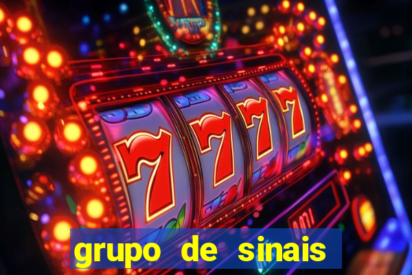 grupo de sinais fortune rabbit